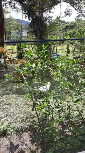 Rural Para Venda, 2 Dormitórios, Parque Da Alvorada - Itanhaém - 12420