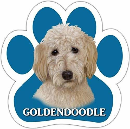 Goldendoodle Coche Imán Con Forma De Pata De La Única Medida