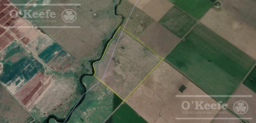 Imagen 22 de 26 de Chacra En Venta En San Nicolas De Los Arroyos - Plantación De Nuez Pecan En Producción