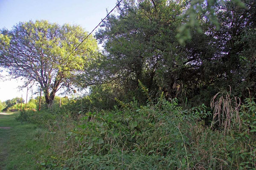 Imagen 14 de 14 de Venta De Terreno En Carpintería Calle Las Mandiocas Mts 1791