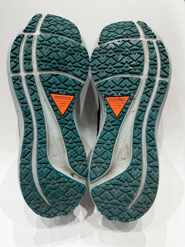 Nike Air Zoom Pegasus Shield (Usado)