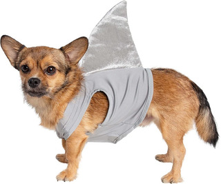Trajes De Halloween Para Perros | MercadoLibre ???? Trajes De Halloween Para Perros | MercadoLibre ????