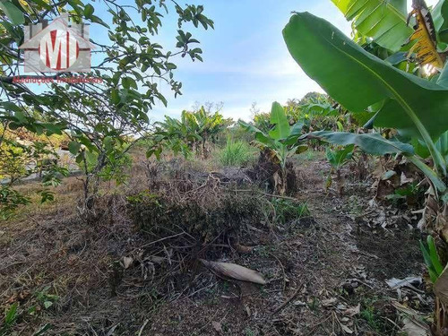 Imagem 15 de 24 de Linda Chácara Com 2 Dormitórios, Pomar, Bem Localizada, À Venda, 1700 M² Por R$ 220.000 - Rural - Socorro/sp - Ch0960
