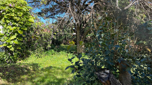 Imagen 2 de 2 de Terreno En Ituzaingo Norte, En Venta
