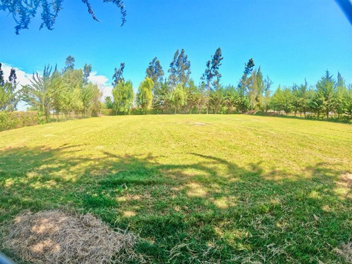 Parcela Con Casa De 5.500 M2 En Chiñigue, El Monte