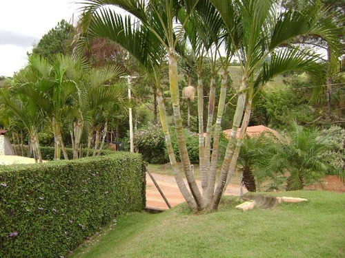 Imagem 13 de 16 de Imperdível - Sp Capital - 47828