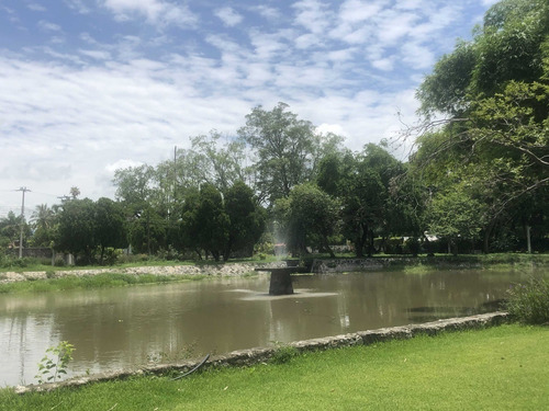 Imagen 9 de 14 de Venta De Terrenos En Ticuman Morelos