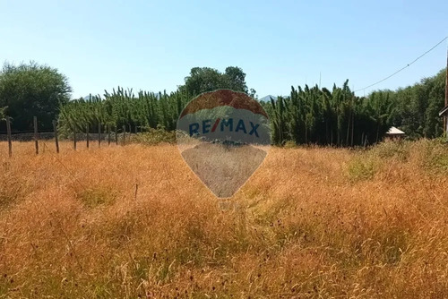 Venta Parcela De Campo Catripulli, Curarrehue