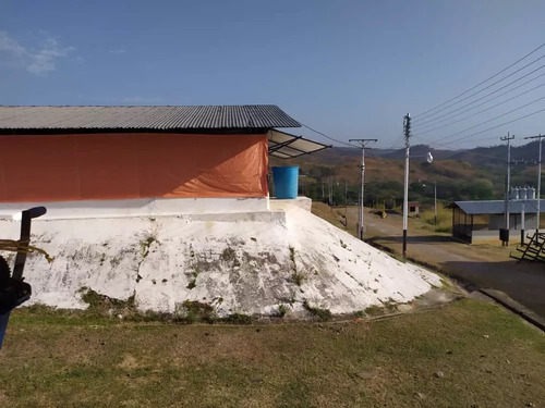 Venta Granja Integral Productiva Avicola Ganadera Y Minera Tinaquillo Edo. Cojedes Negociable Con Financiamiento Jm