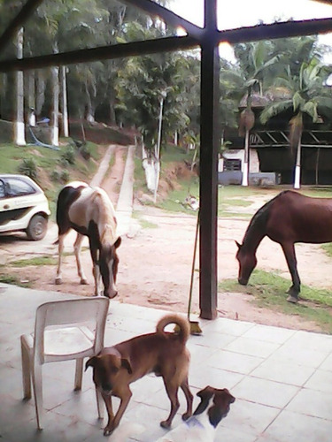 Imagem 10 de 20 de Chacara - Ch00014 - 34330924