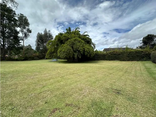 Vendo Casa Finca Independiente En Llanogrande Excelente Ubicación
