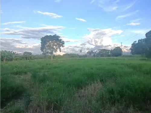 Se Venden Lotes Montenegro Quindío