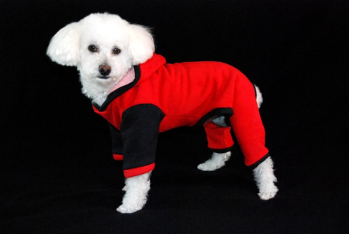 Imagen 3 de 3 de Tapadito Enterito Perro Caniche Toy O Similar Talles 2 Y 3