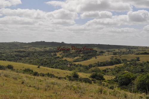 Venta Chacra 5 Has Ubicada En Jose Ignacio Proximo A Garzon - Ref: 18178