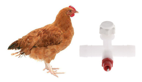 Imagen 3 de 6 de Abastecedor Automático De Ganado Blanco