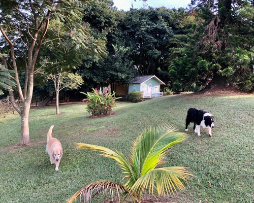 Imagem 10 de 12 de Chácara Para Locação No Jardim Josane - Sorocaba/sp - Ch00822 - 70832897