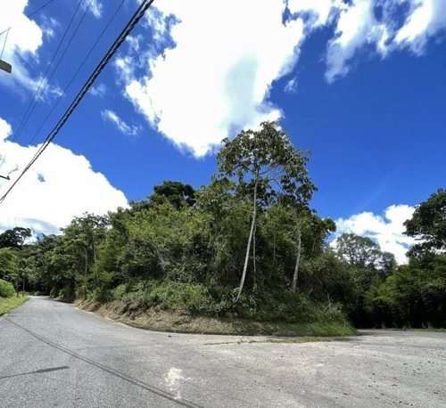 Vendo Dos Parcelas Planas Adyacentes Sobre Una Colina Con Bellas Vistas, Una De 2549m2 Y Otra D 1544m2, Cerca De Farmatodo La Union, Zonificacion R2-e Hasta 4-5 Viviendas, $200k Por Ambas, Negociable!