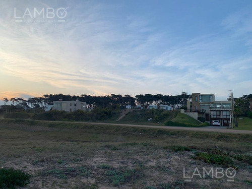 Imagen 6 de 11 de Venta-terreno-uruguay-punta Del Este-ocean Park
