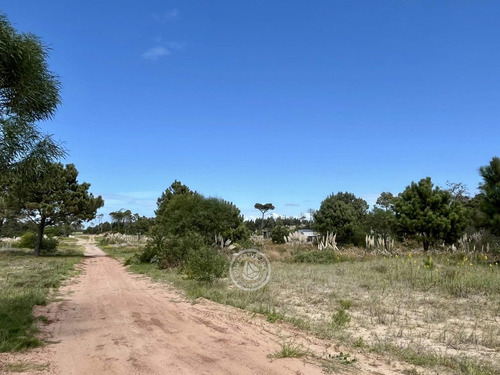 Terrenos En Zona Bosque De La Viuda En Punta Del Diablo
