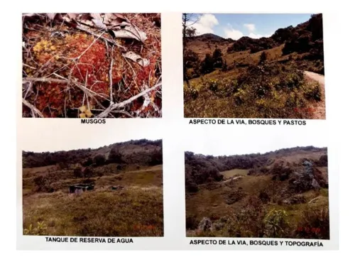 Finca En Venta En Vereda San Miguel. Cod V2379