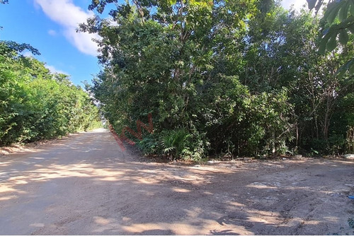 2 Terrenos Juntos 430 M2 Ideal Para Invertir En Cancún, Álamos
