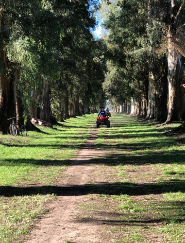Campo En Venta En Marcos Paz