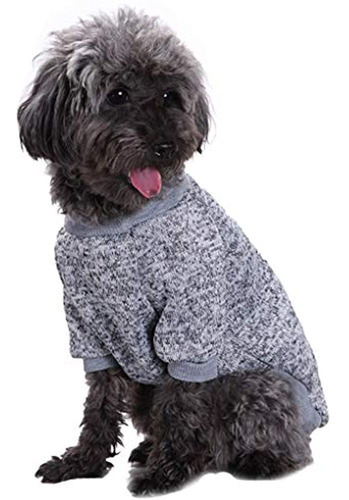 La Moda Se Centra En La Ropa Para Perros De Mascota Prendas