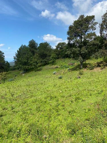 Gran Terreno En Paraje Palacio