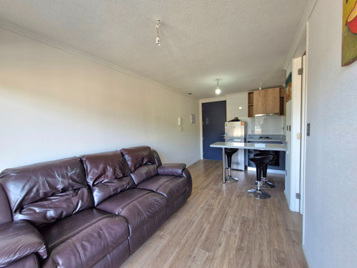 Departamento En Arriendo En Collao Concepcion