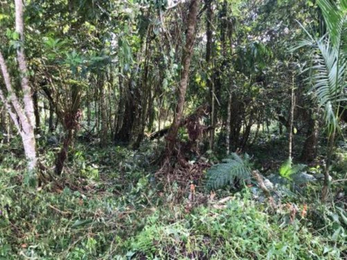 Imagem 1 de 4 de Terreno Para Chácara No Bairro São Fernando, Em Itanhaém, Com 2.400 M² De Área Total, Aceita Entrada Mais Parcelas