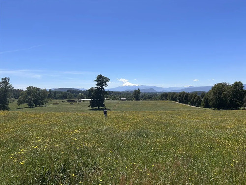 Sitio En Venta En Panguipulli