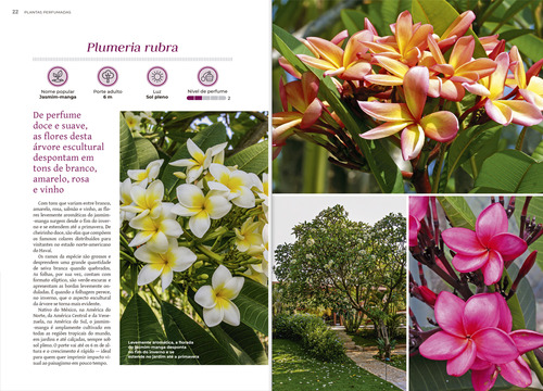 Livro - Plantas Perfumadas: Árvores E Trepadeiras