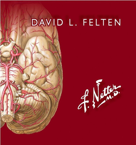 Netter. Flashcards De Neurociencia Ed.3º - Felten, David L.