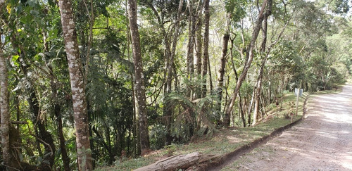 Imagem 2 de 3 de Lote Área Nobre Santo Antônio Do Pinhal - Sp - Condomínio Portal Da Mantiqueira - L-1010
