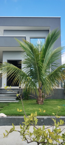 Casa Condomínio Fechado 2 Dorms Com Suite E Dois Ar Condicio