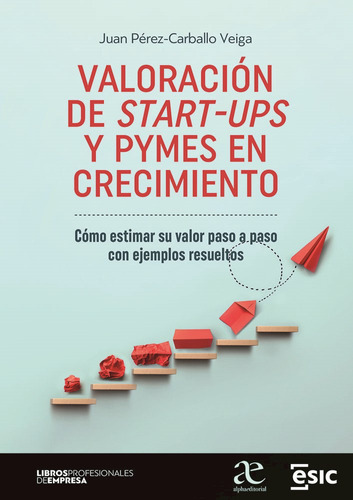 Valoracion De Start-ups Y Pymes En Crecimiento, Como Estimar