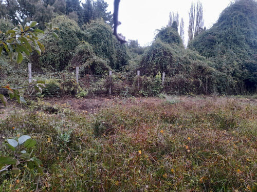 Preparate Para Una Nueva Inversion En Osorno