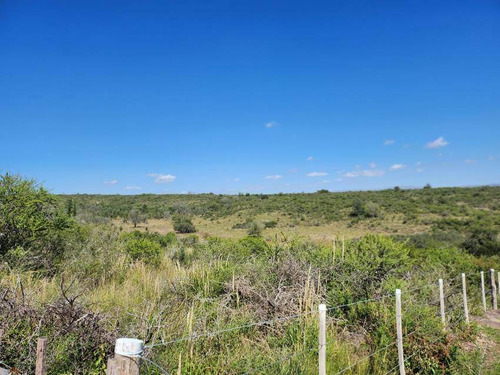 Venta Campo 9 1/4 Hectáreas- Villla Parque Siquiman (punilla).
