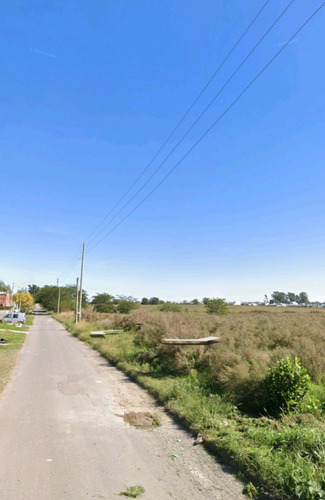Campo - La Plata