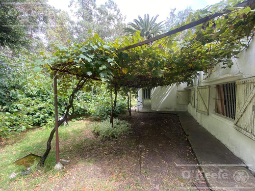 5 Has En Veronica - Chacra En Venta Con Importante Arboleda