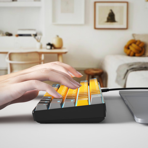 Interruptor De Teclado Hot Blue Switch Suporta Troca De 61 T