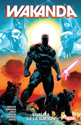 Wakanda El Alma De La Nacion, De Evan Narcisse. Editorial Panini Comics, Tapa Blanda En Español