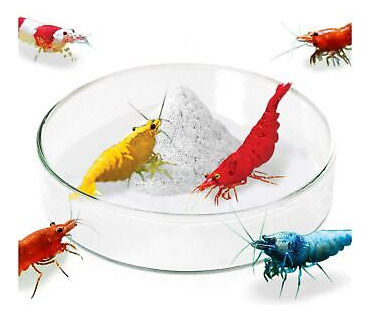 Jor Shrimp, Frog & Gecko Feed Bowl, 2.5-inches Wide, 0.5 Ssb