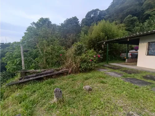 Se Vende Finca En Salento - Quindío