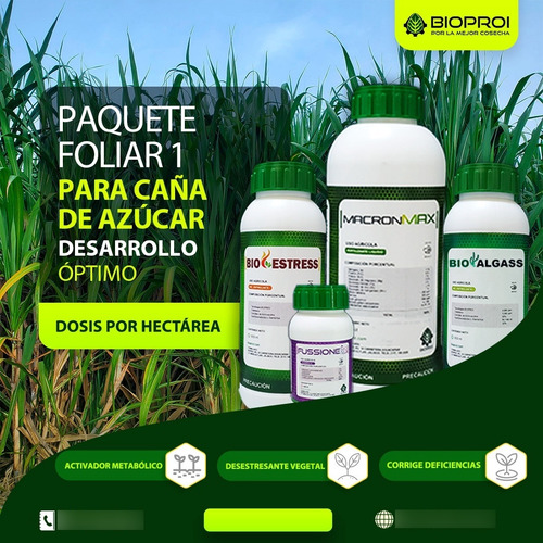 Foliar De Desarrollo Para Caña De Azúcar
