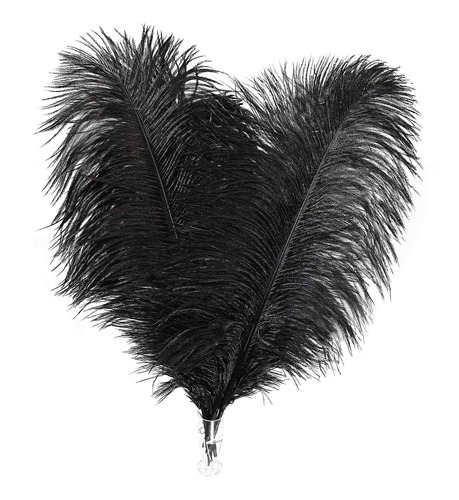 Soarer Black Ostrich Feathers Bulk 30pcs 8-10 Inche For