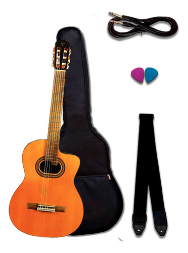 Violão Eletroacustico Takamine Gc6ce Kit Capa Std