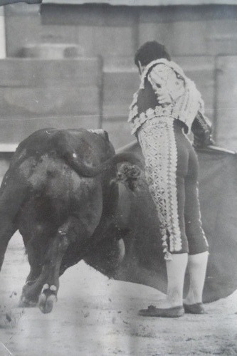 Fotografía Taurina Manolo Martínez Por Derecho Tauromaquia