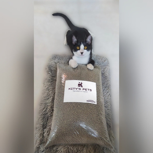 Arena Absorbente Para Gato Marca Kitys Pets × ( 15 Kilos) 