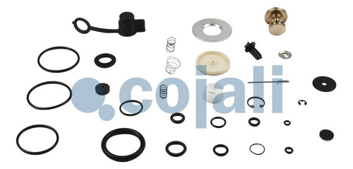 Kit De Reparacion Valvula Secante 